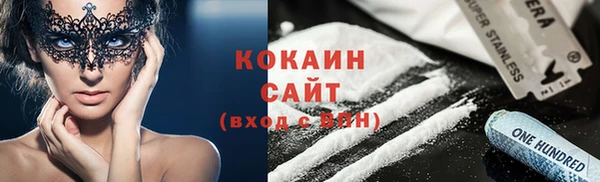 сатива Няндома