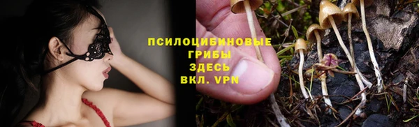 хмурый Нязепетровск