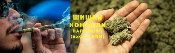 ПСИЛОЦИБИНОВЫЕ ГРИБЫ Нягань