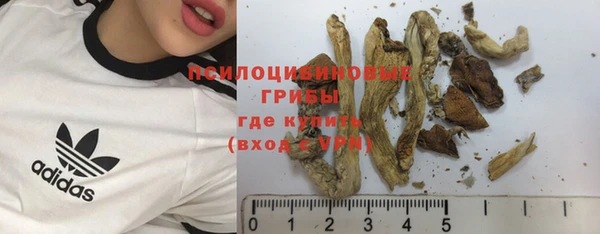 гидра Новокубанск