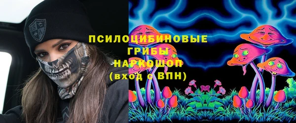 сатива Няндома