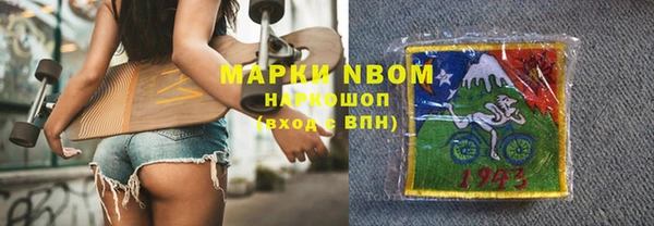 сатива Няндома