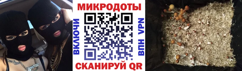 Галлюциногенные грибы GOLDEN TEACHER  Кохма 