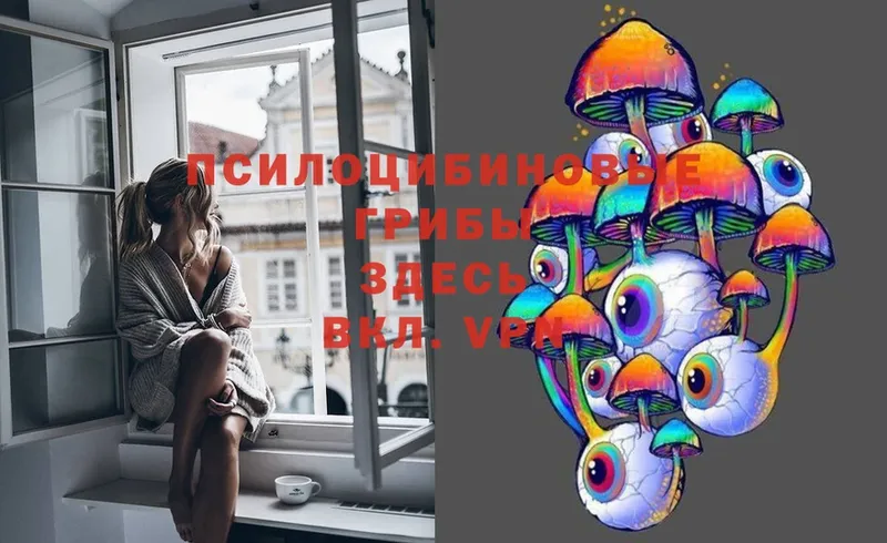 закладка  мега сайт  Галлюциногенные грибы Magic Shrooms  Кохма 