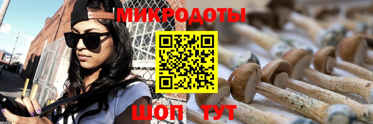 Псилоцибиновые грибы ЛСД Кохма